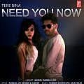 Tere Bina Need You Now - Mamum 190Kbps